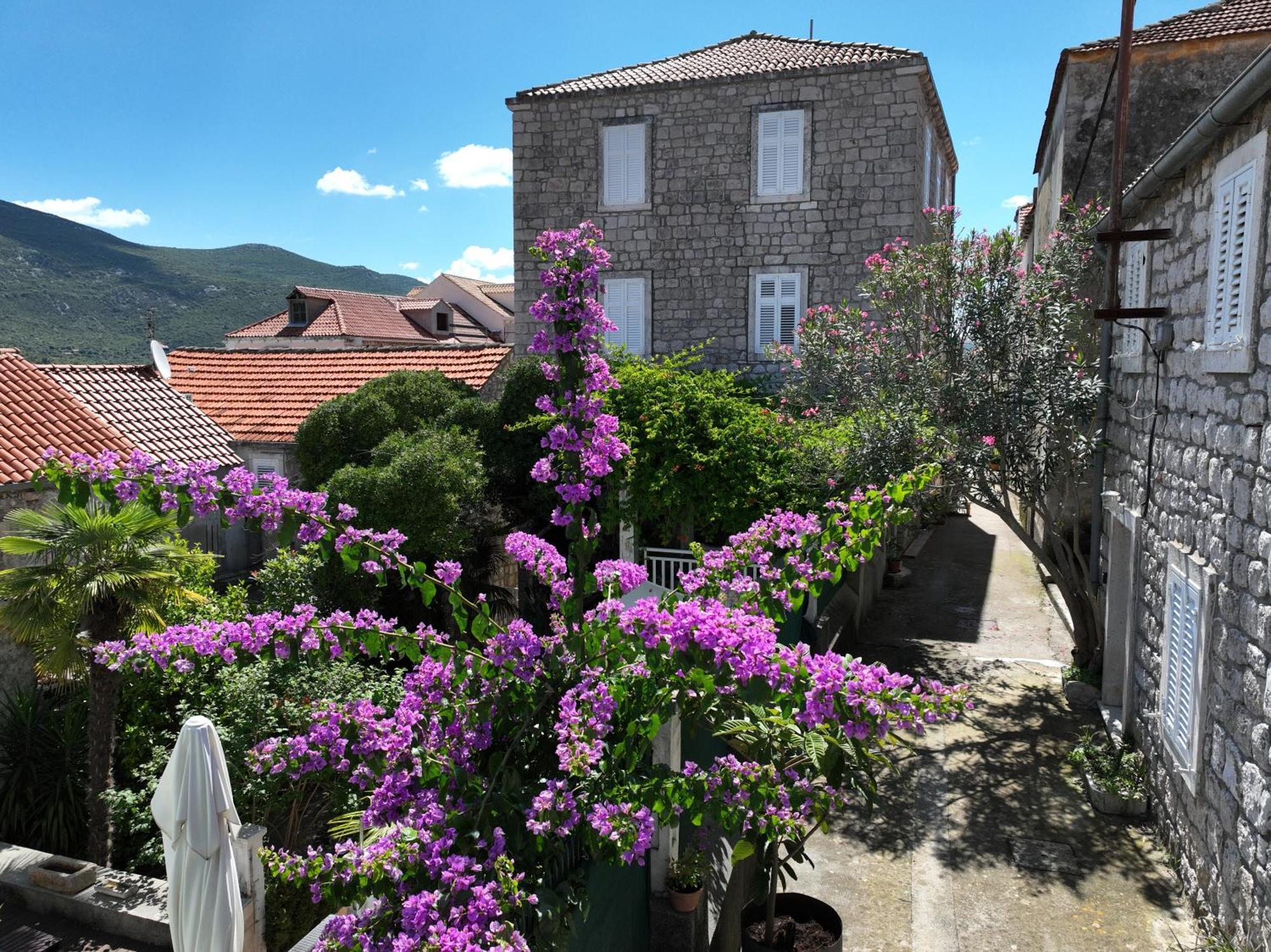 Castri Illius Maris Villa Mali Ston